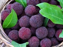 嘉弘塑料護目鏡專用PVC粒料，助力早日打贏疫情